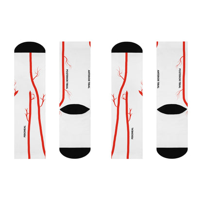 Pedal Artery Anatomy Vascular Surgery Cushioned Crew 3/4 Length Sock White-Health Gear Shop