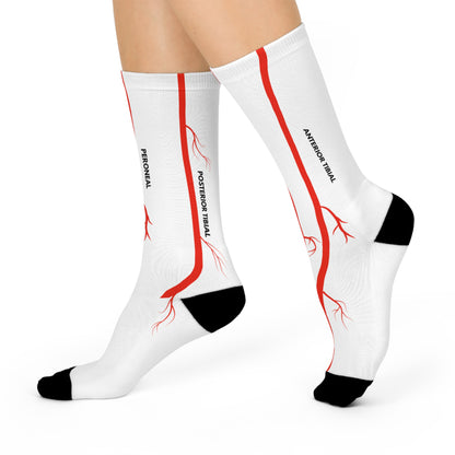 Pedal Artery Anatomy Vascular Surgery Cushioned Crew 3/4 Length Sock White-Health Gear Shop