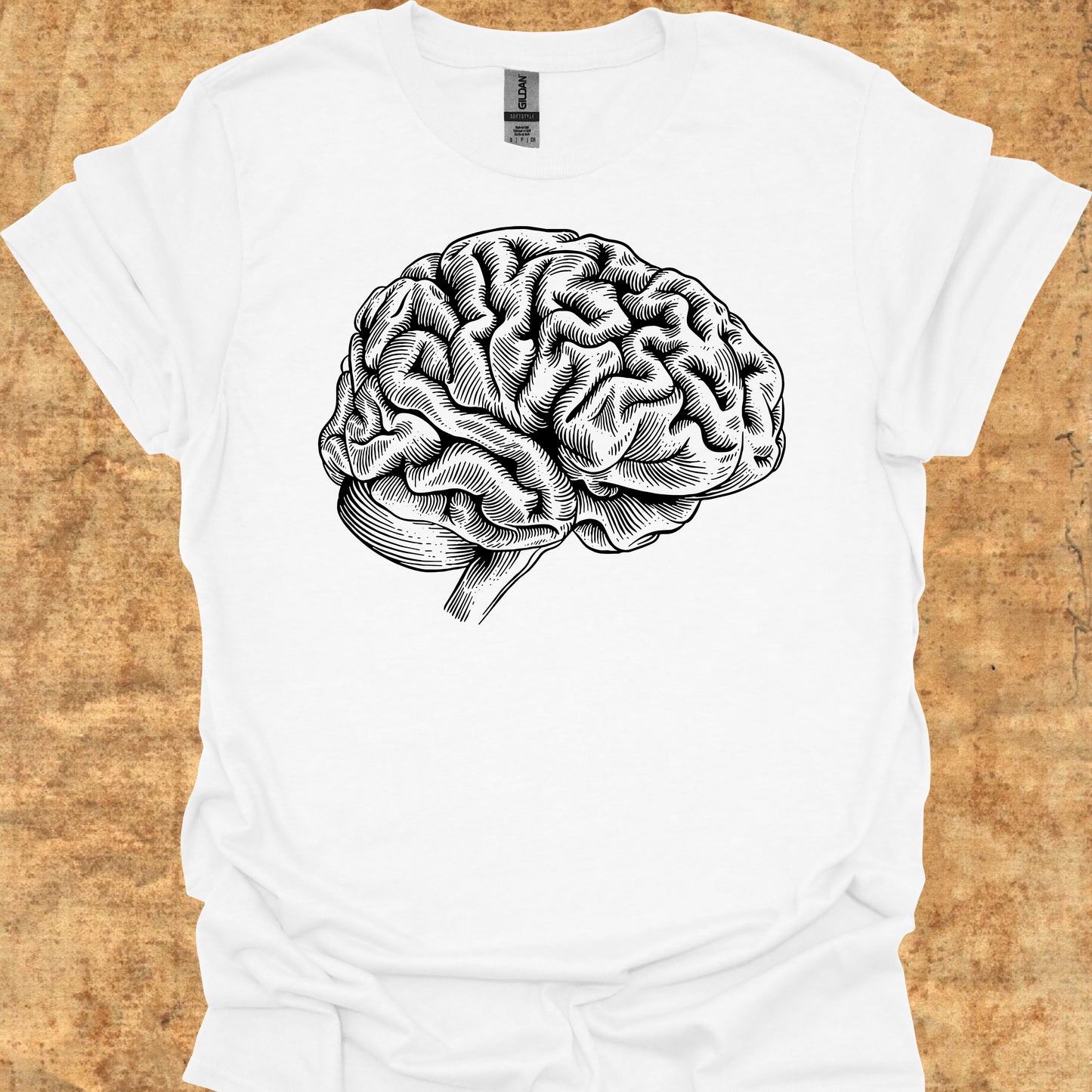 Minimalist Brain Anatomy Neurology T-Shirt for Neurologists & Neuro Care