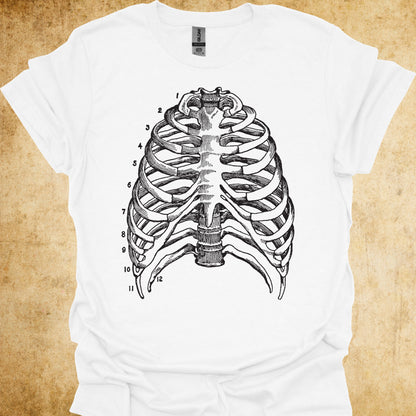 Minimalist Thoracic T-Shirt for Lung & Chest Specialists