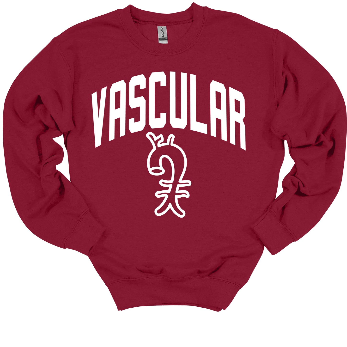 Varsity Style Vascular Surgery Medical Gift Crewneck Sweatshirt