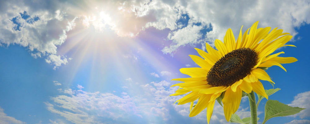 Mental health and wellness healthcare apparel and gifts